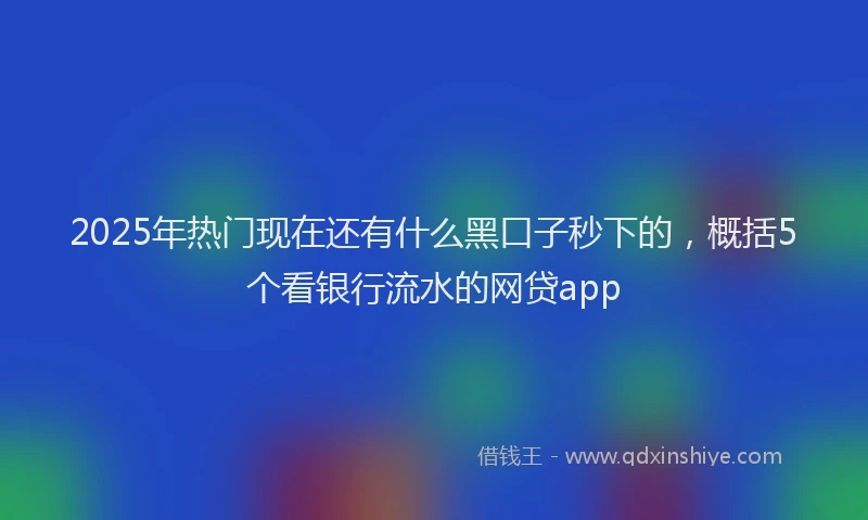 2025年热门现在还有什么黑口子秒下的，概括5个看银行流水的网贷app