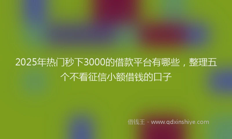 2025年热门秒下3000的借款平台有哪些，整理五个不看征信小额借钱的口子