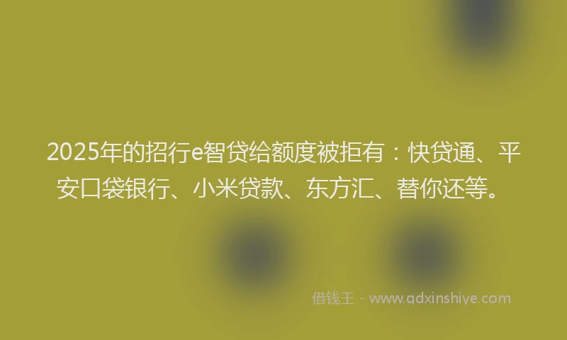 2025年的招行e智贷给额度被拒有：快贷通、平安口袋银行、小米贷款、东方汇、替你还等。