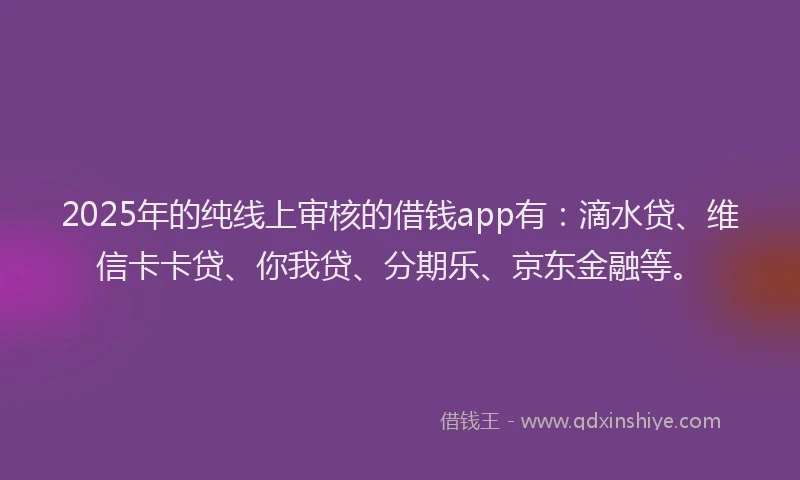 2025年的纯线上审核的借钱app有：滴水贷、维信卡卡贷、你我贷、分期乐、京东金融等。