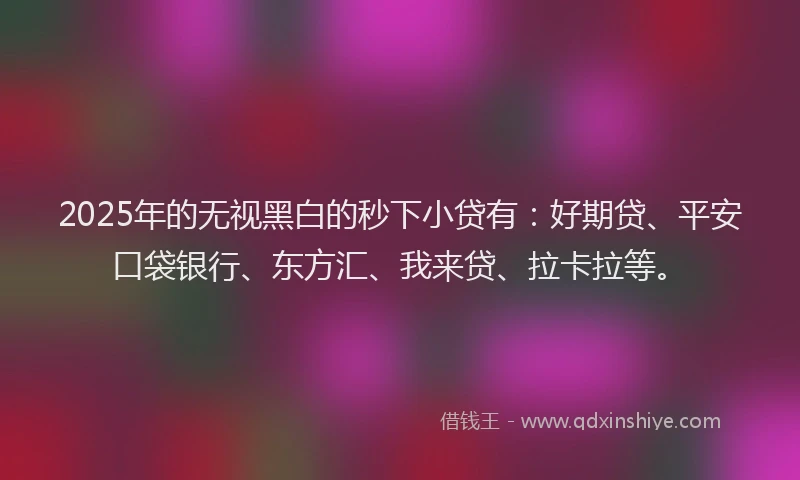 2025年的无视黑白的秒下小贷有：好期贷、平安口袋银行、东方汇、我来贷、拉卡拉等。