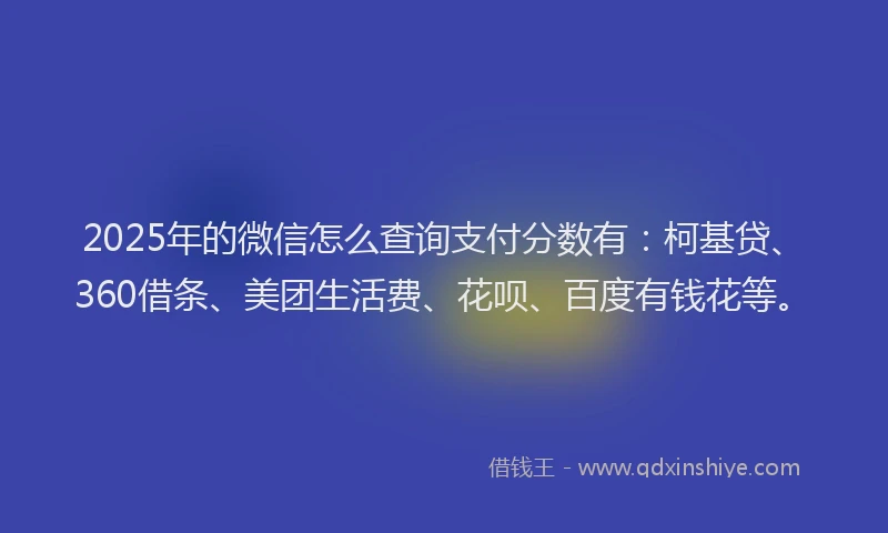 2025年的微信怎么查询支付分数有：柯基贷、360借条、美团生活费、花呗、百度有钱花等。