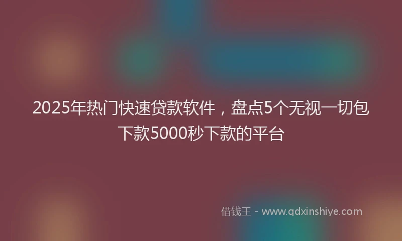 2025年热门快速贷款软件，盘点5个无视一切包下款5000秒下款的平台