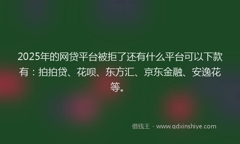 2025年的网贷平台被拒了还有什么平台可以下款有：拍拍贷、花呗、东方汇、京东金融、安逸花等。