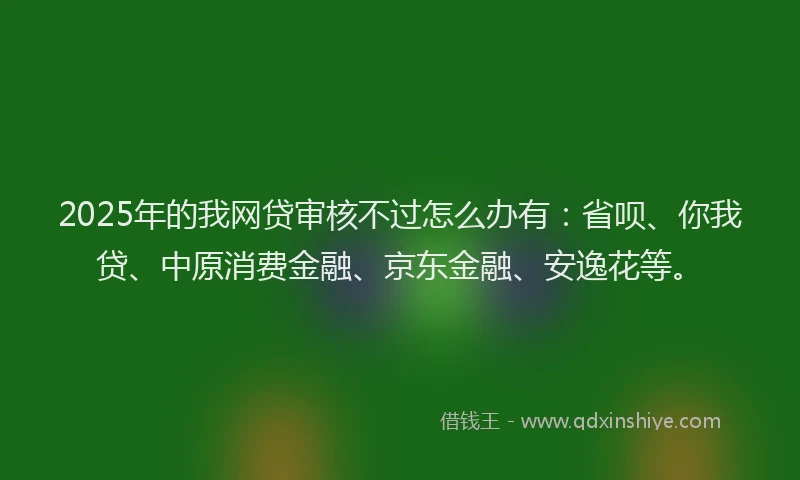 2025年的我网贷审核不过怎么办有：省呗、你我贷、中原消费金融、京东金融、安逸花等。