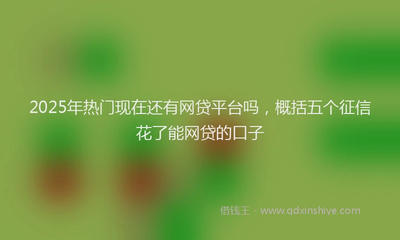 2025年热门现在还有网贷平台吗，概括五个征信花了能网贷的口子