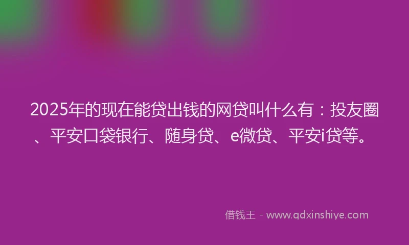 2025年的现在能贷出钱的网贷叫什么有：投友圈、平安口袋银行、随身贷、e微贷、平安i贷等。