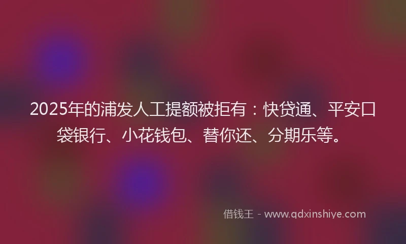 2025年的浦发人工提额被拒有：快贷通、平安口袋银行、小花钱包、替你还、分期乐等。
