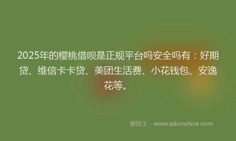 2025年的樱桃借呗是正规平台吗安全吗有：好期贷、维信卡卡贷、美团生活费、小花钱包、安逸花等。