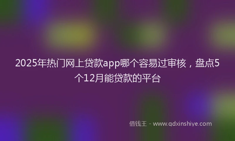 2025年热门网上贷款app哪个容易过审核，盘点5个12月能贷款的平台