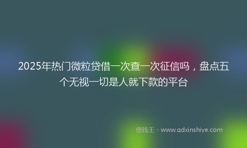 2025年热门微粒贷借一次查一次征信吗，盘点五个无视一切是人就下款的平台