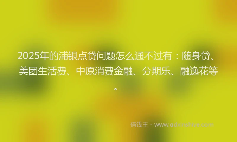 2025年的浦银点贷问题怎么通不过有：随身贷、美团生活费、中原消费金融、分期乐、融逸花等。