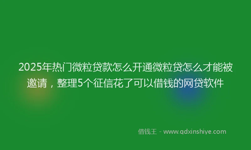 2025年热门微粒贷款怎么开通微粒贷怎么才能被邀请，整理5个征信花了可以借钱的网贷软件