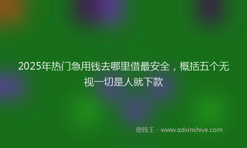 2025年热门急用钱去哪里借最安全，概括五个无视一切是人就下款
