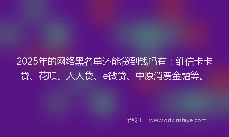 2025年的网络黑名单还能贷到钱吗有：维信卡卡贷、花呗、人人贷、e微贷、中原消费金融等。