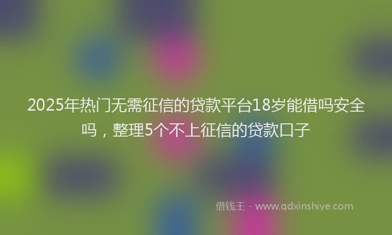 2025年热门无需征信的贷款平台18岁能借吗安全吗，整理5个不上征信的贷款口子