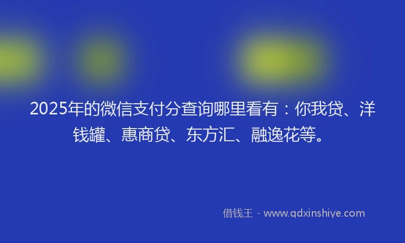 2025年的微信支付分查询哪里看有：你我贷、洋钱罐、惠商贷、东方汇、融逸花等。