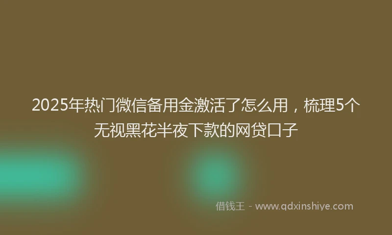 2025年热门微信备用金激活了怎么用，梳理5个无视黑花半夜下款的网贷口子