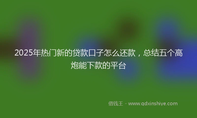 2025年热门新的贷款口子怎么还款，总结五个高炮能下款的平台