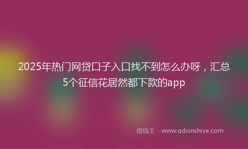 2025年热门网贷口子入口找不到怎么办呀，汇总5个征信花居然都下款的app