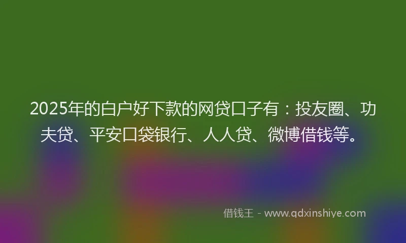 2025年的白户好下款的网贷口子有：投友圈、功夫贷、平安口袋银行、人人贷、微博借钱等。