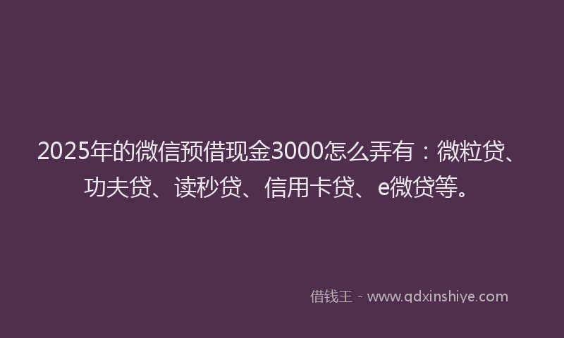 2025年的微信预借现金3000怎么弄有：微粒贷、功夫贷、读秒贷、信用卡贷、e微贷等。