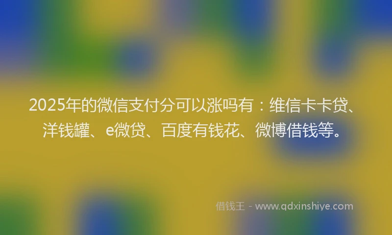 2025年的微信支付分可以涨吗有：维信卡卡贷、洋钱罐、e微贷、百度有钱花、微博借钱等。