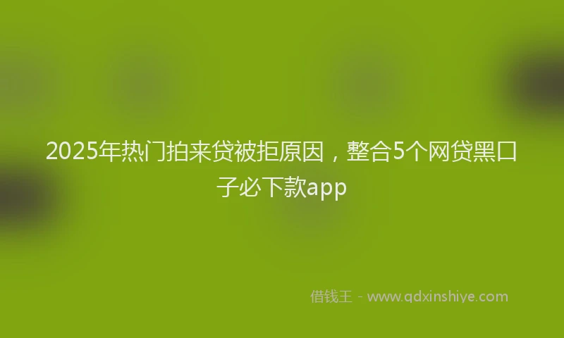 2025年热门拍来贷被拒原因，整合5个网贷黑口子必下款app