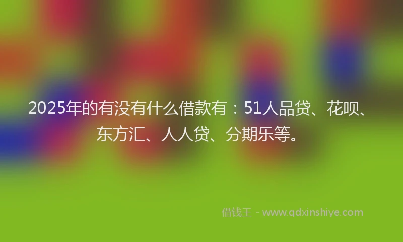 2025年的有没有什么借款有：51人品贷、花呗、东方汇、人人贷、分期乐等。