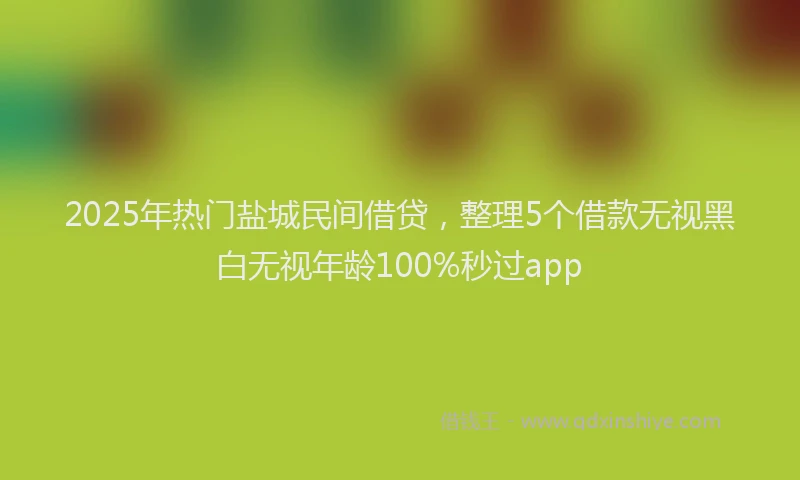 2025年热门盐城民间借贷，整理5个借款无视黑白无视年龄100%秒过app