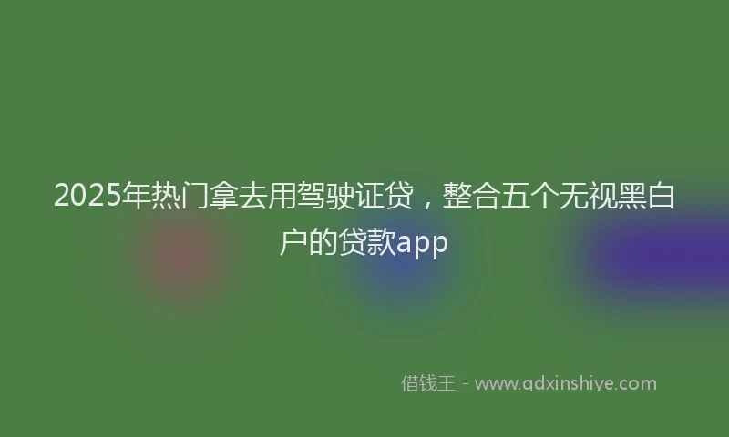 2025年热门拿去用驾驶证贷，整合五个无视黑白户的贷款app
