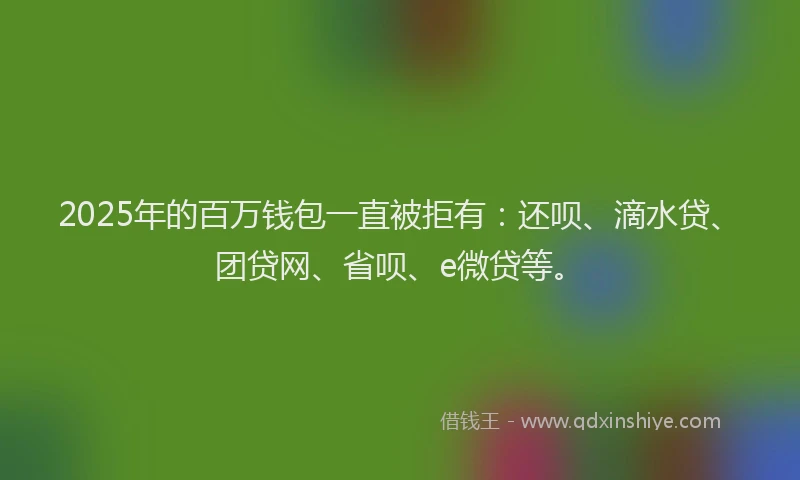 2025年的百万钱包一直被拒有：还呗、滴水贷、团贷网、省呗、e微贷等。