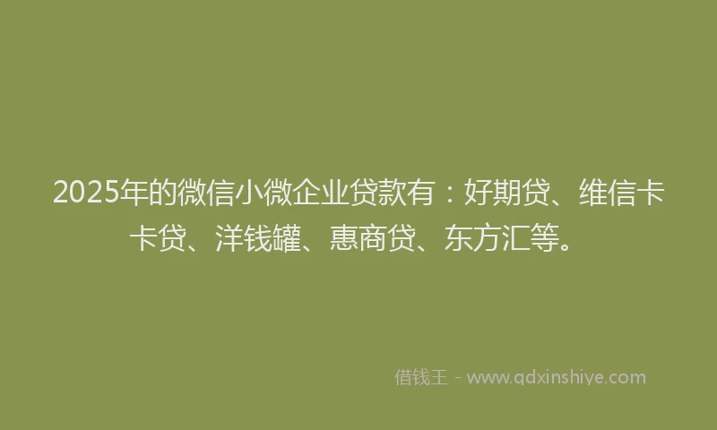 2025年的微信小微企业贷款有：好期贷、维信卡卡贷、洋钱罐、惠商贷、东方汇等。