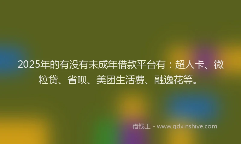 2025年的有没有未成年借款平台有：超人卡、微粒贷、省呗、美团生活费、融逸花等。