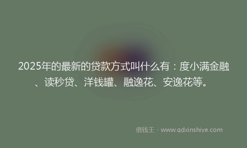 2025年的最新的贷款方式叫什么有：度小满金融、读秒贷、洋钱罐、融逸花、安逸花等。