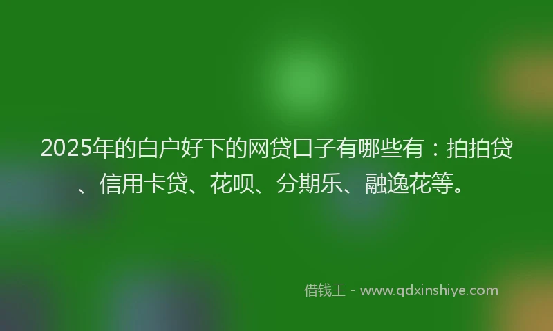 2025年的白户好下的网贷口子有哪些有：拍拍贷、信用卡贷、花呗、分期乐、融逸花等。