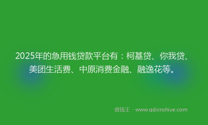 2025年的急用钱贷款平台有：柯基贷、你我贷、美团生活费、中原消费金融、融逸花等。