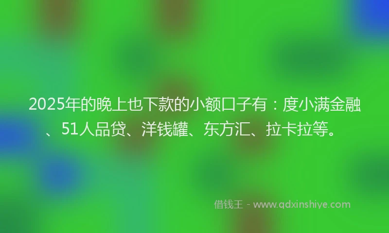 2025年的晚上也下款的小额口子有：度小满金融、51人品贷、洋钱罐、东方汇、拉卡拉等。