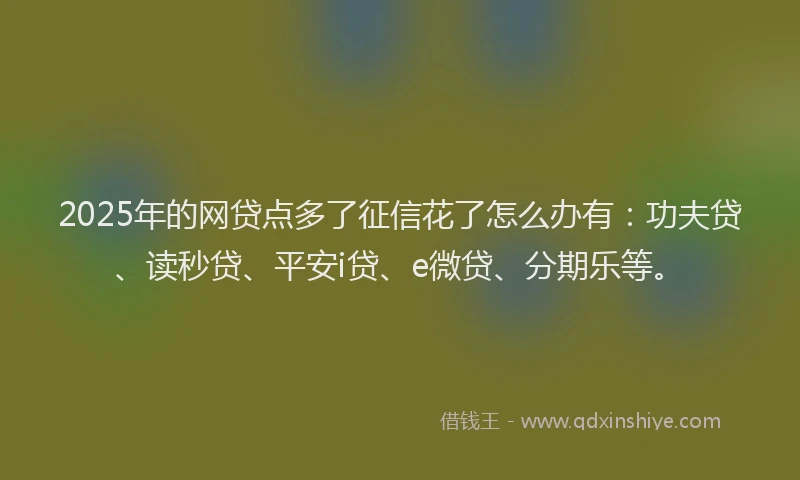 2025年的网贷点多了征信花了怎么办有：功夫贷、读秒贷、平安i贷、e微贷、分期乐等。