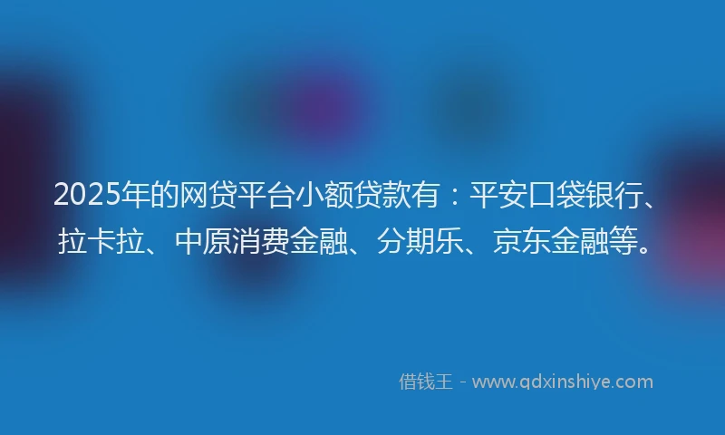 2025年的网贷平台小额贷款有：平安口袋银行、拉卡拉、中原消费金融、分期乐、京东金融等。