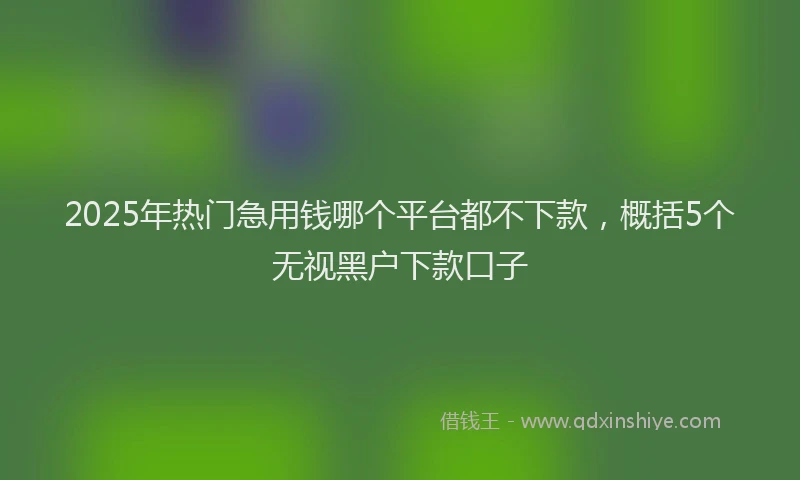 2025年热门急用钱哪个平台都不下款，概括5个无视黑户下款口子
