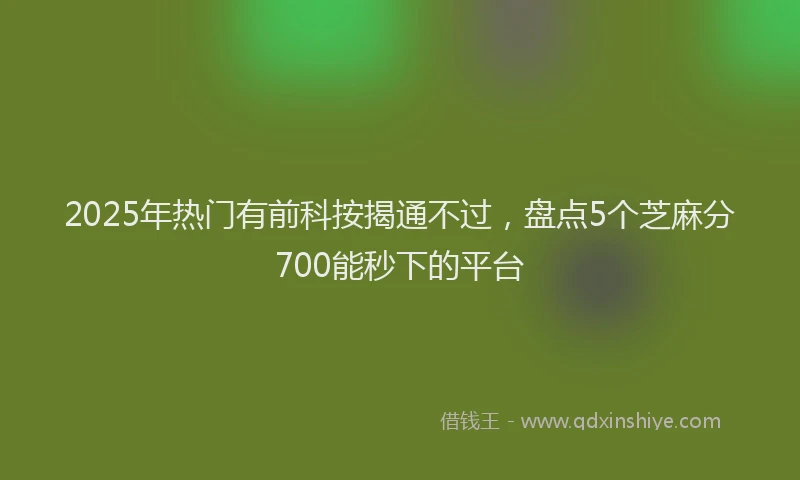 2025年热门有前科按揭通不过，盘点5个芝麻分700能秒下的平台