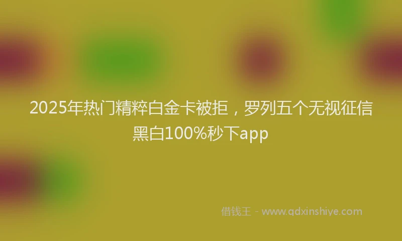 2025年热门精粹白金卡被拒，罗列五个无视征信黑白100%秒下app