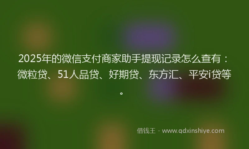 2025年的微信支付商家助手提现记录怎么查有：微粒贷、51人品贷、好期贷、东方汇、平安i贷等。