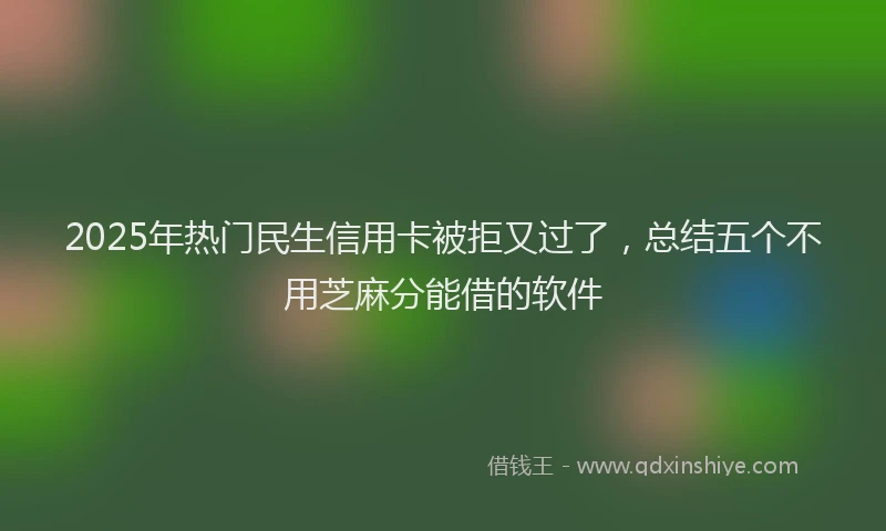 2025年热门民生信用卡被拒又过了，总结五个不用芝麻分能借的软件