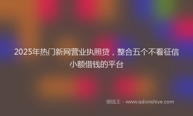 2025年热门新网营业执照贷，整合五个不看征信小额借钱的平台