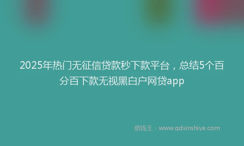 2025年热门无征信贷款秒下款平台，总结5个百分百下款无视黑白户网贷app