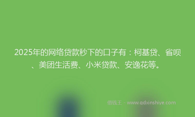 2025年的网络贷款秒下的口子有：柯基贷、省呗、美团生活费、小米贷款、安逸花等。