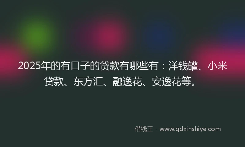 2025年的有口子的贷款有哪些有：洋钱罐、小米贷款、东方汇、融逸花、安逸花等。
