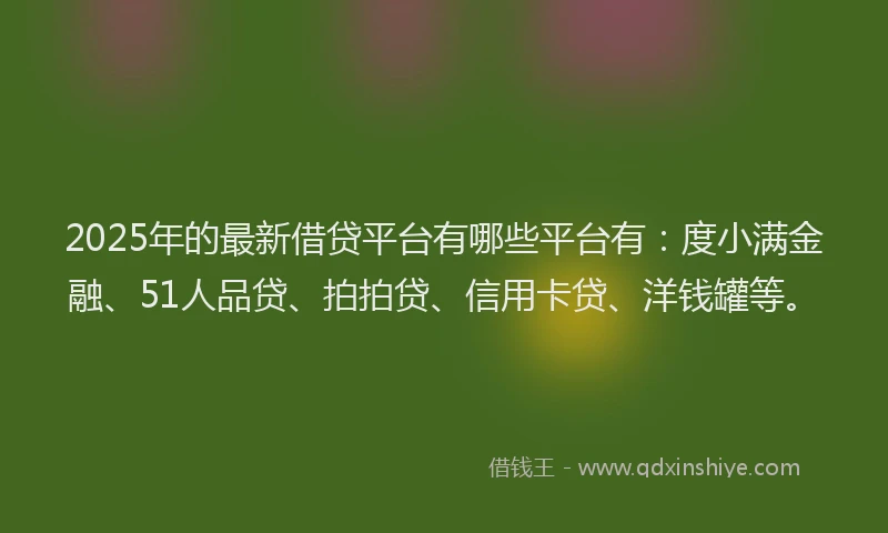 2025年的最新借贷平台有哪些平台有：度小满金融、51人品贷、拍拍贷、信用卡贷、洋钱罐等。